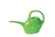 Immagine di Annaffiatoio - 2 L - Verdemax