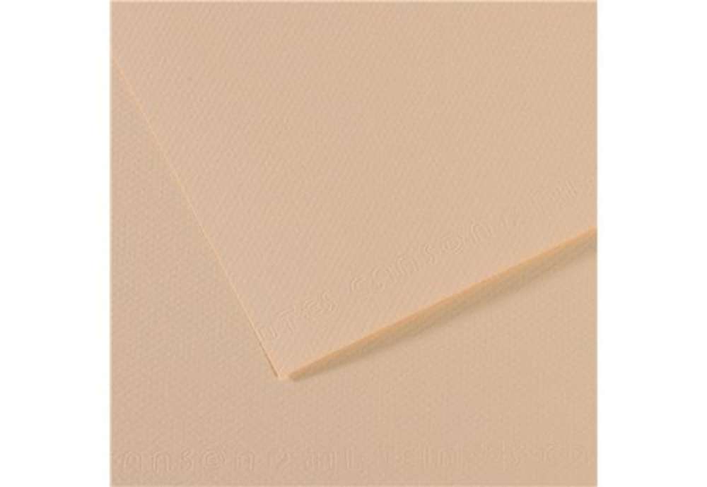 Immagine di Foglio Mi-Teintes - A4 - 160 gr - conchiglia - Canson
