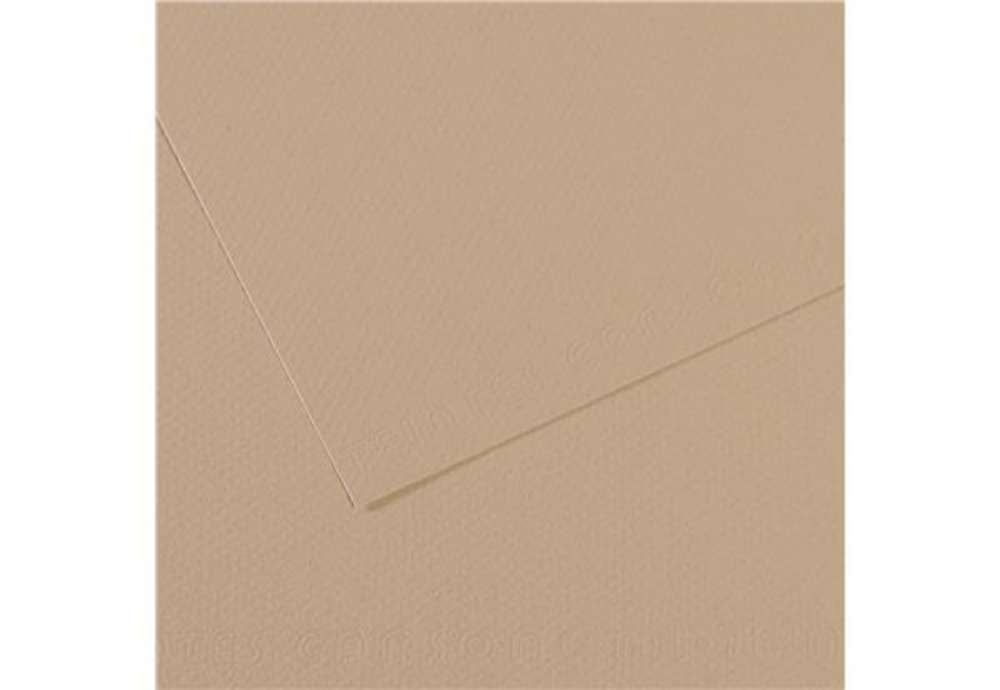 Immagine di Foglio Mi-Teintes - A4 - 160 gr - grigio trianon - Canson