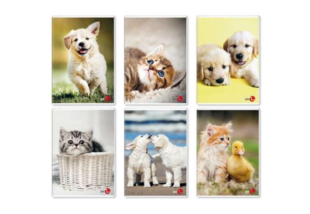 Immagine di Maxiquaderno Cute fantasia - A4 - 4mm - 40+2 fogli - 80gr - BM