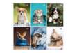 Immagine di Maxiquaderno Cute fantasia - A4 - 40+2 fogli - 80gr - 5mm c/margine - BM