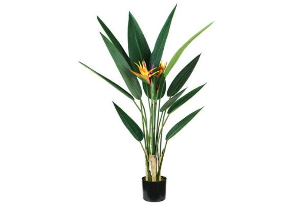 Immagine di Pianta ornamentale Sterlizia - artificiale - 12 foglie e 2 fiori - 120 cm - PE - King Collection