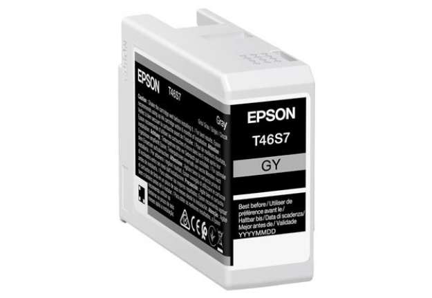 Immagine di Epson - Cartuccia UltraChrome Pro 10 - Grigio - C13T46S700 - 25 ml