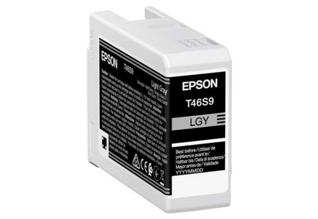 Immagine di Epson - Cartuccia UltraChrome Pro 10 - Grigio - C13T46S900 - 25 ml