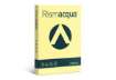 Immagine di Carta colorata Favini Rismacqua colori tenui 140 g/m² A3 giallo chiaro 07 - Risma da 200 fogli - A65