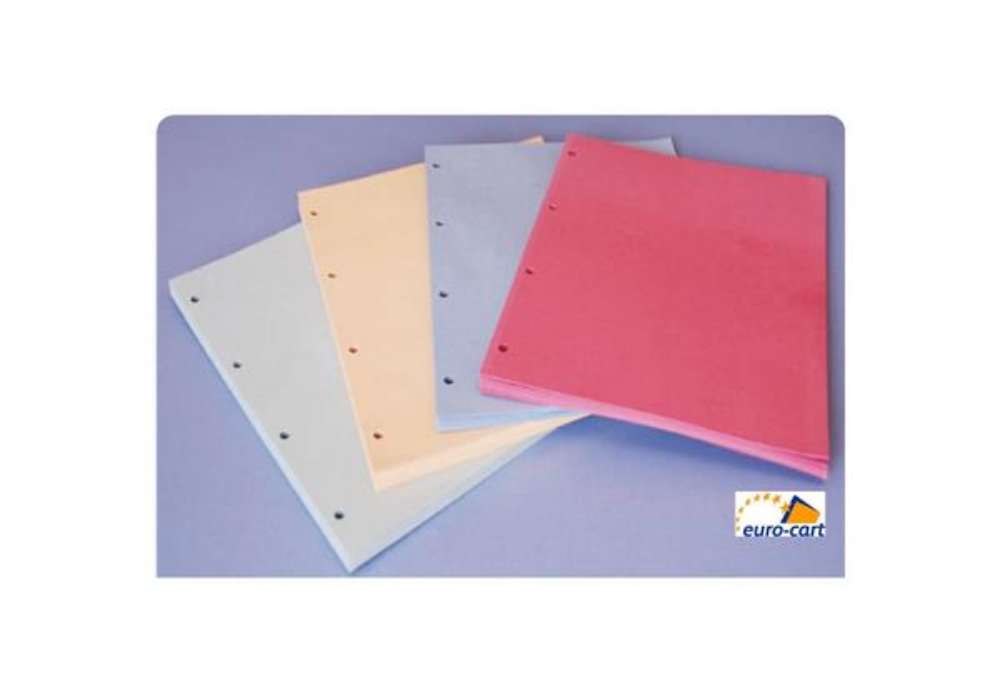 Immagine di Divisori in cartoncino Manilla con fori EURO-CART 23x30 cm azzurro confezione da 100 pz. DM04AZ C/FO