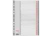Immagine di Divisori per rubrica Esselte A4 PPL numerica 1-31 100108
