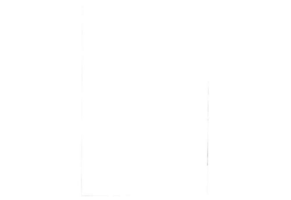 Immagine di Pouches per plastificatrici Fellowes Standard Capture125 finitura lucida - 2x125 µm - A2 - Conf. 50