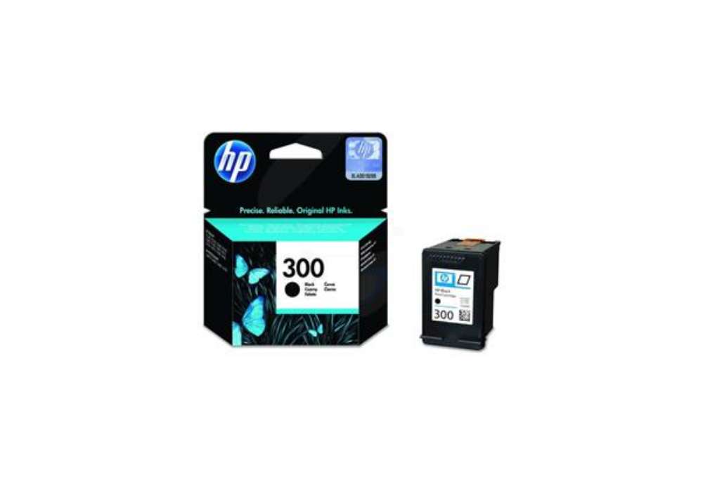 Immagine di Cartuccia inkjet con inchiostro Vivera 300 HP nero CC640EE
