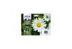 Immagine di cartucce inkjet alta capacità Margherite 18XL Epson n+c+m+g Conf. 4 - C13T18164012