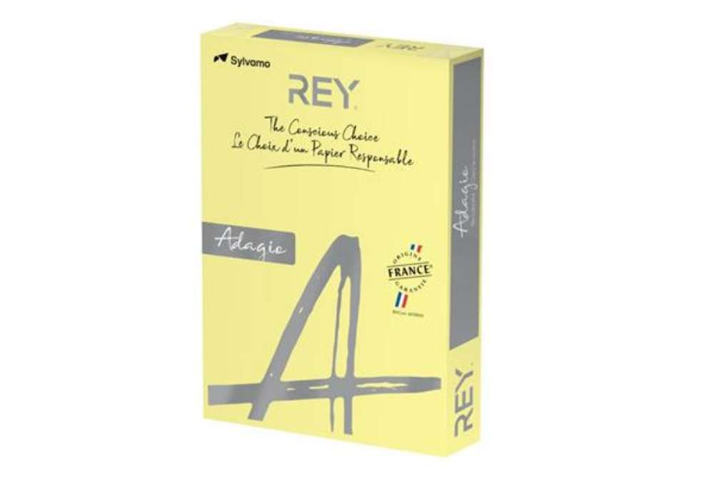 Immagine di Carta colorata A4 Sylvamo Rey Adagio 160 g/m² giallo canarino 03 - Risma da 250 fogli - ADAGI160X473