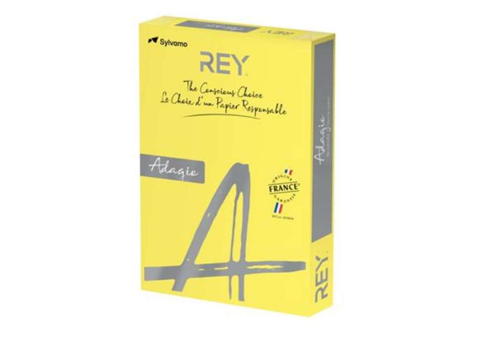 Immagine di Carta colorata A4 Sylvamo Rey Adagio 160 g/m² giallo intenso 66 - Risma da 250 fogli - ADAGI160X479