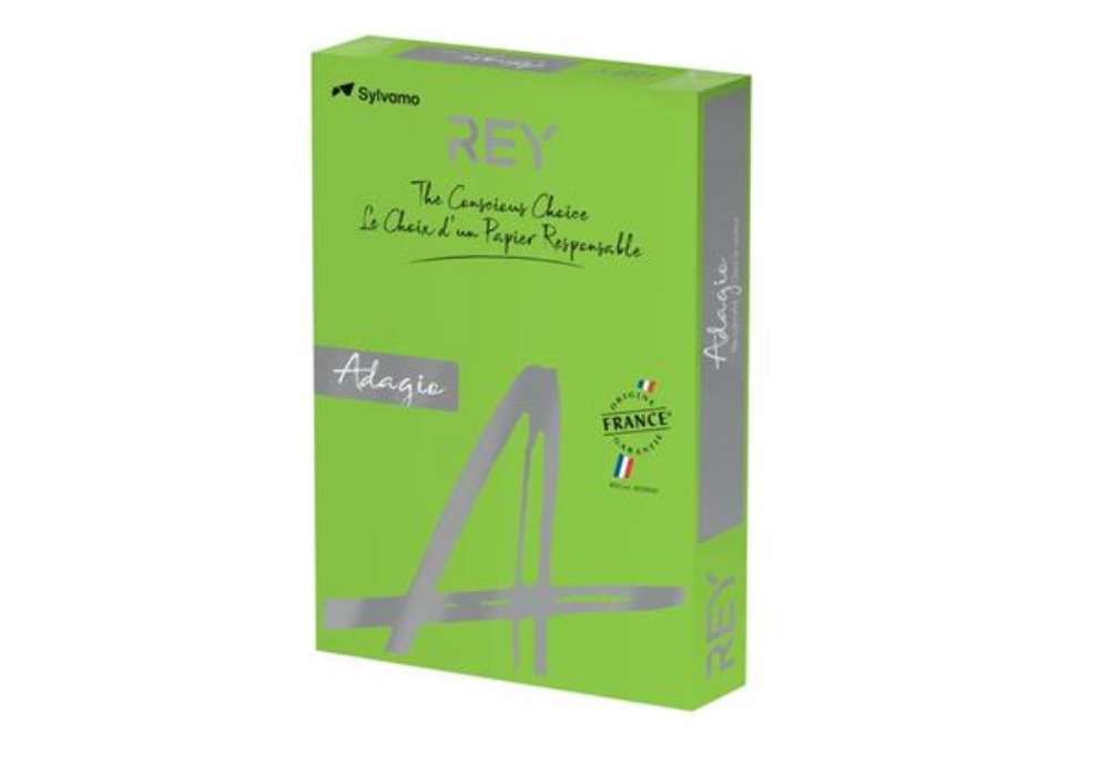 Immagine di Carta colorata A4 Sylvamo Rey Adagio 160 g/m² verde intenso 52 - Risma da 250 fogli - ADAGI160X457