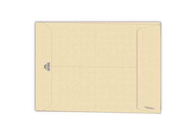 Immagine di Buste a sacco con soffietto Pigna Envelopes Multi Strip Large 25+4 x 35 cm avana Conf. 250 pezzi - 0