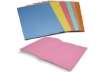 Immagine di Cartelline semplici EURO-CART Cartoncino Manilla 25x35 cm gr. 145 rosso conf. da 100 pezzi - CM01RO1