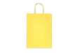 Immagine di Sacchetti da regalo Rex-Sadoch Allegra tinta unita Light 22x10x27 cm assortiti conf. da 25 - SDF22 L