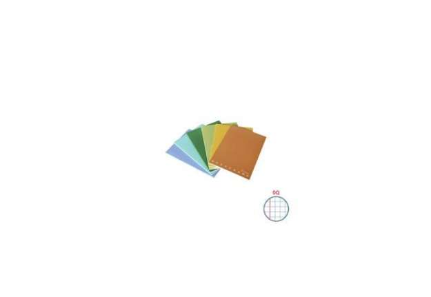 Immagine di Quaderno Pigna Maxi Monocromo Green 42 ff 80 gr - A4 rigatura OQ - copertine assortite - conf. 10 pe