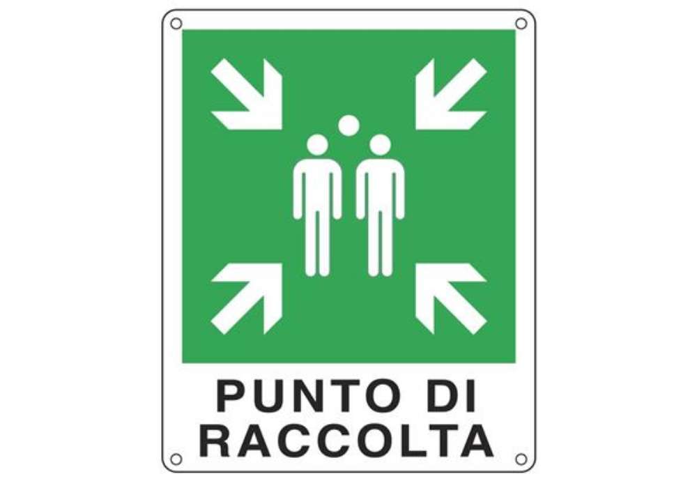 Immagine di Cartello d'emergenza 25x31 cm Cartelli Segnalatori ''Punto di raccolta'' E20153X