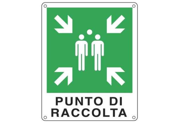 Immagine di Cartello d'emergenza 25x31 cm Cartelli Segnalatori ''Punto di raccolta'' E20153X