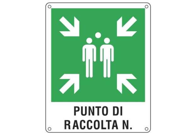 Immagine di Cartello d'emergenza 40x50 cm Cartelli Segnalatori ''Punto di raccolta'' E20171Y