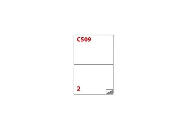 Immagine di Etichette bianche autoadesive Markin Copiatabu C509 Super Permanente 210x148 mm 2 et/foglio cf. 100