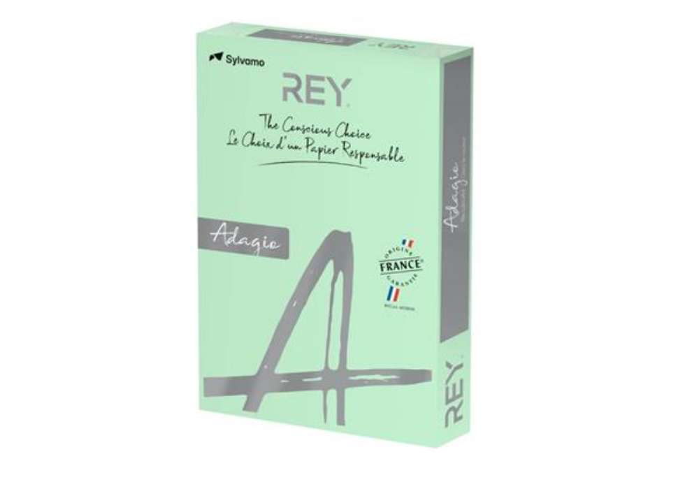 Immagine di Carta colorata A4 Sylvamo Rey Adagio 160 g/m² verde - Risma da 250 fogli - ADAGI160X456