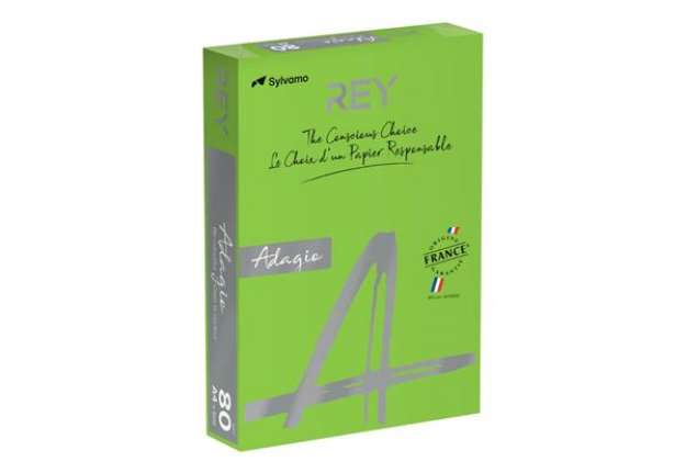 Immagine di Carta colorata A4 Sylvamo Rey Adagio 80 g/m² verde intenso - Risma da 500 fogli - ADAGI080X650