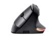 Immagine di Mouse ergonomico Bayo - wireless - Trust