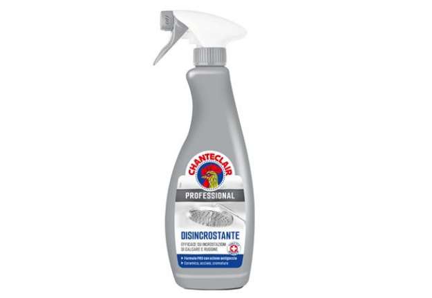 Immagine di Disincrostante forte Professional - in trigger - 700 ml - Chante Clair
