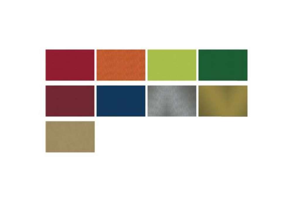Immagine di Carta regalo Big Ecocolor 100x140 cm conf. 50 fogli Rex-Sadoch tinte unite assortite - S5550ECO