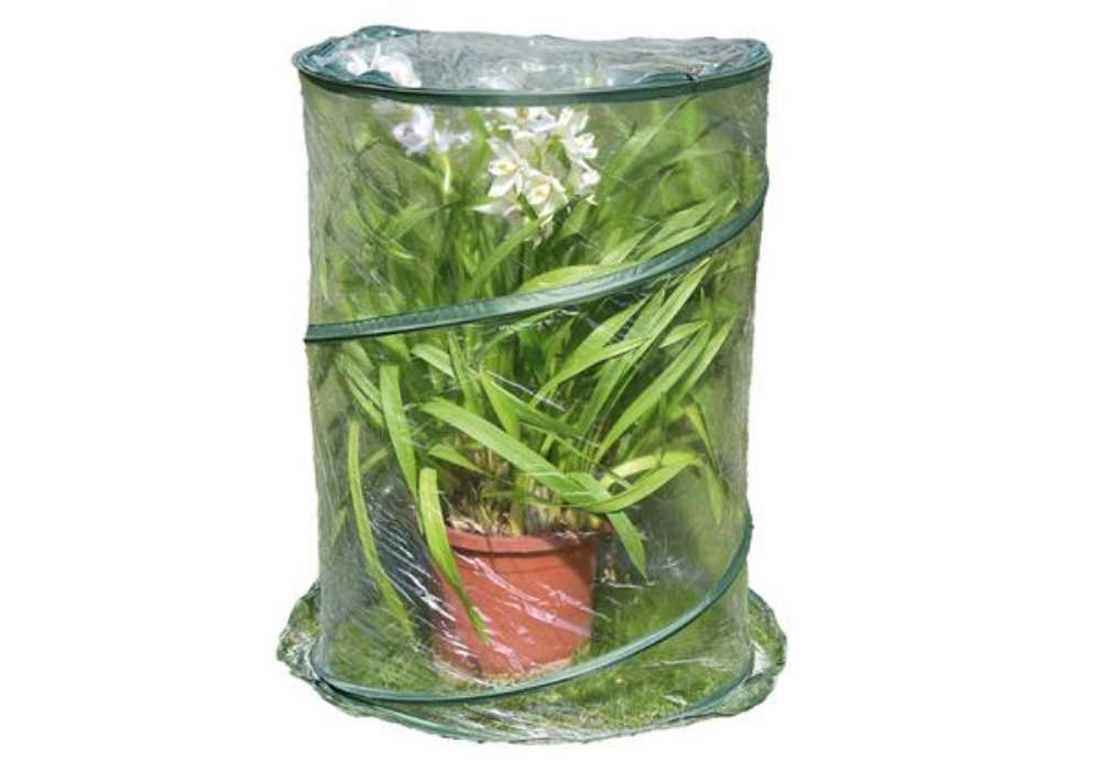 Immagine di Serra Pop-up Anthurium - 70 x 100 cm - trasparente - Verdemax