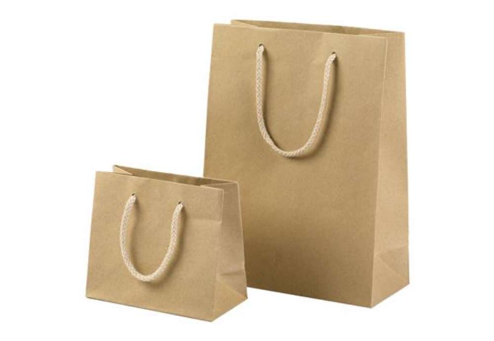 Immagine di Shopper - maniglie cordino cotone - 22 x 29 + 10 cm - 160 gr - carta kraft - avana - PNP - conf. 12