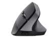 Immagine di Mouse ergonomico wireless Bayo+ - Trust