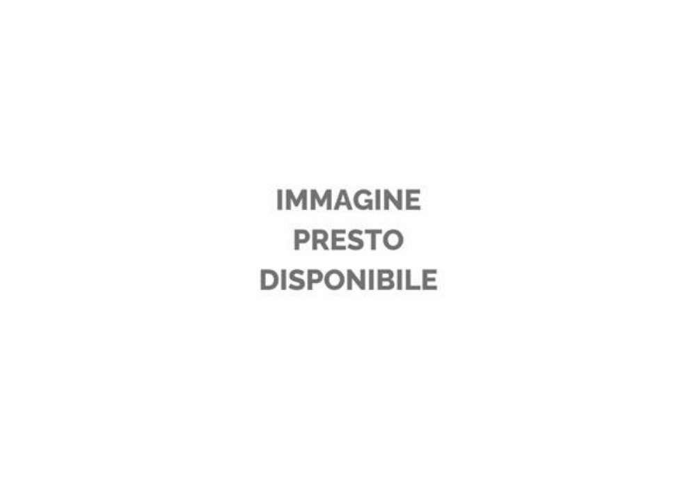 Immagine di Fogli da disegno Fabriano F5 - 25 fogli 50x70 grana fine - 300 g - 30001121
