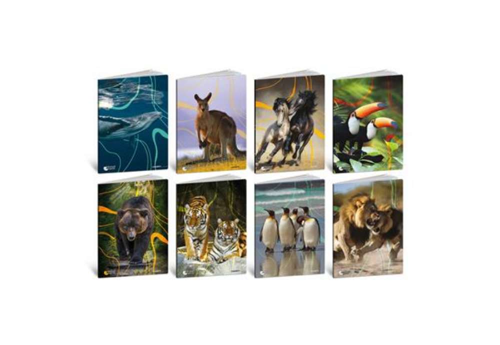 Immagine di Maxi quaderno Blasetti Animal Cut A4 - 80 g/m² - 20 ff - 4F - conf. 10 pezzi - 9238