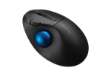 Immagine di Trackball portatile Pro Fit Ergo TB450 - wireles - nero - Kensington