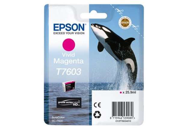 Immagine di Epson - Cartuccia ink -  T7603 - Magenta - C13T76034N10