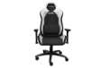 Immagine di Sedia da Gaming GXT 714W RUYA - bianco - Trust