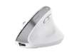 Immagine di Mouse Ergonomico Bayo+ wireless - bianco - Trust