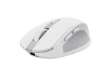 Immagine di Mouse OZAA wireless - bianco - Trust