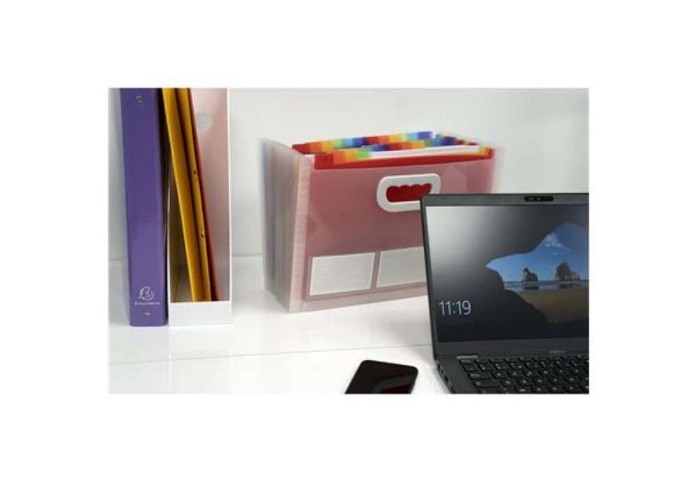 Immagine di Classificatore valigetta Crystal Colours cristallo 24 scomparti 33x23,5x25cm con maniglia - 55198E
