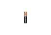 Immagine di Batterie alcaline Duracell Plus100 Ministilo AAA - MN2400 - blister da 8 - DU0211