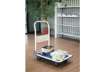 Immagine di Carrello portapacchi Serena Group in lamiera rinforzata bianco/blu 74x48x83 cm portata 150 kg - - PZ