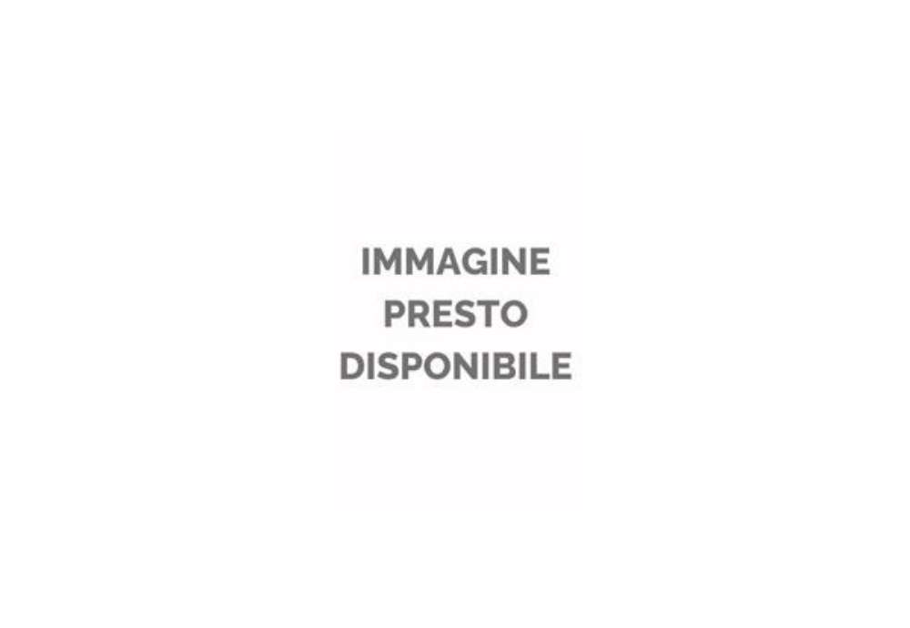 Immagine di Carta da disegno in fogli Fabriano 5 formato 50x70 cm grana satinata 210 g conf. 25 fogli - 30200126