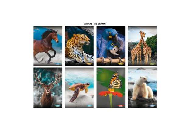 Immagine di Maxi quaderni Blasetti Animali A4 20+1 ff carta 80 g/m² - conf. 10 pezzi - rigatura 10 mm - 8949