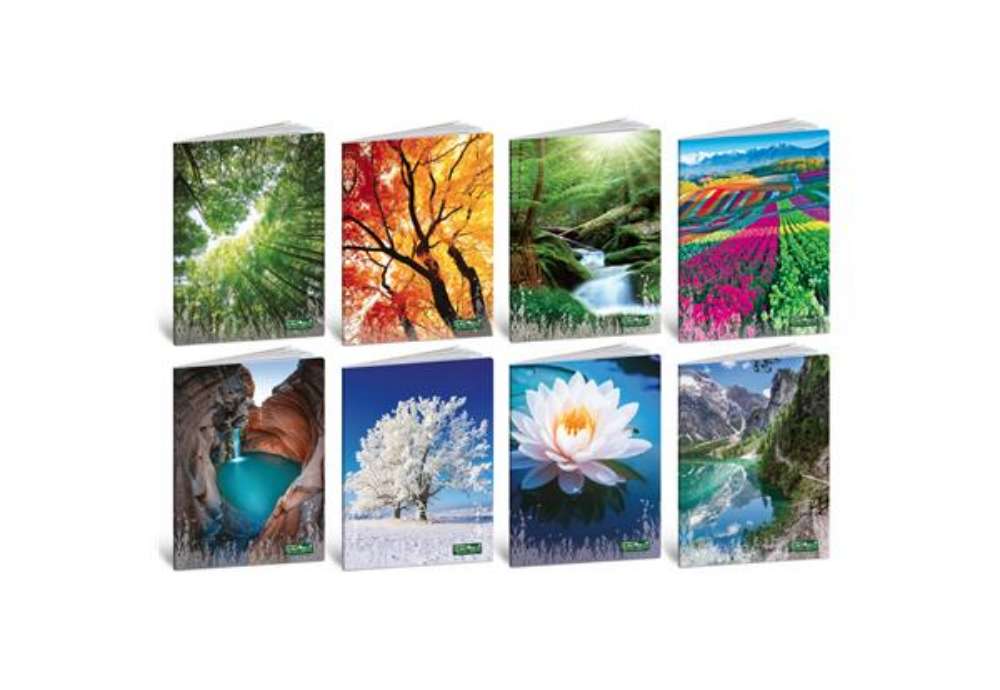 Immagine di Maxi quaderno Blasetti Quadecò A4 - 80 g/m² - 20 ff - 1R - conf. 10 pezzi - 4772