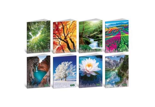 Immagine di Maxi quaderno Blasetti Quadecò formato A4  carta 80 g conf. 10 pezzi rigatura 1R - 4772