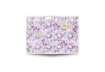 Immagine di Maxi quaderno Pigna Nature Flowers A4 - 80 g/m² - 42 ff - 4M - assortiti - 02298854M