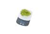 Immagine di Bilancia MAUL pesalettere MAULstart plastica infrangibile grigio 2kg Z770002