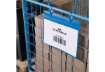 Immagine di Tasche per identificazione Durable con fascette di aggancio blu f.to esterno mm 311x442- inserto A4